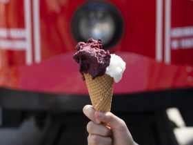 Yaz sıcaklarının aranan yüzü : Dondurmacı ne iş yapar?