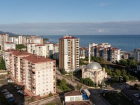 Ordu iş ve yaşam rehberi