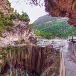 Rize iş ve yaşam rehberi