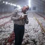 İş güvenliği sertifikası geçerlilik süresi nedir?